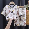 Baby and Toddler Snug Fit Cotton t-shirt Pajama Set