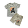 Boys Boom Panda Printed T-shirt & Pant Set Ash