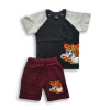 Boys Tiger Printed Raglan sleeve T-shirt & Pant Set Black