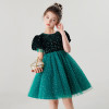 Girls Imported Velvet Glitter Party Dress Green