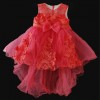 Party Dress for Girls  Raspberry
