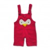 Stylish Angry Bird Embroidery Romper Pink